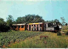 Trains - Musée des Transports de Pithiviers - Le train à vapeur sortant du bois