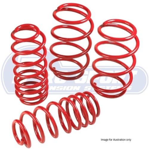 Prosport lowering springs 40mm - lowering,