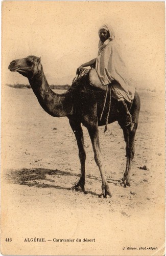 Cpa algeria geiser - geiser, no.