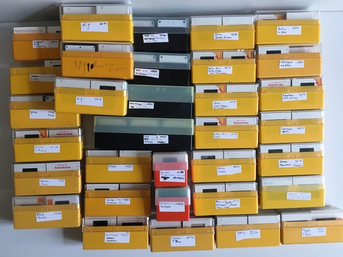 Lot photo 1000 - lot,