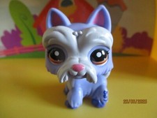 Petshop chien westie  #2260