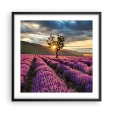 Affiche Poster 50x50cm