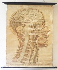 Grande affiche histoire - grande,