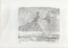 Robert Hainard - Cormoran dans les brouillards du Rhône - Gravure - signée - num