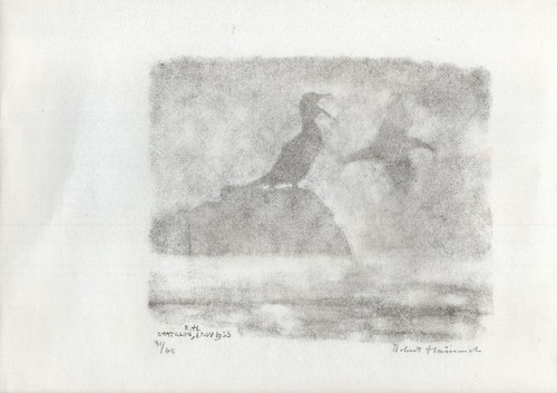 Robert hainard cormoran dans - cormoran,
