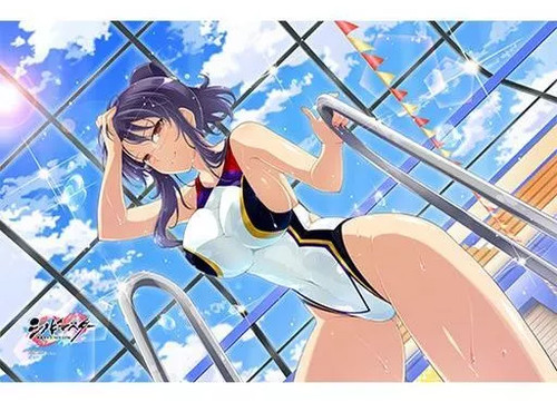 Shinobi master senran rin - shinobi,