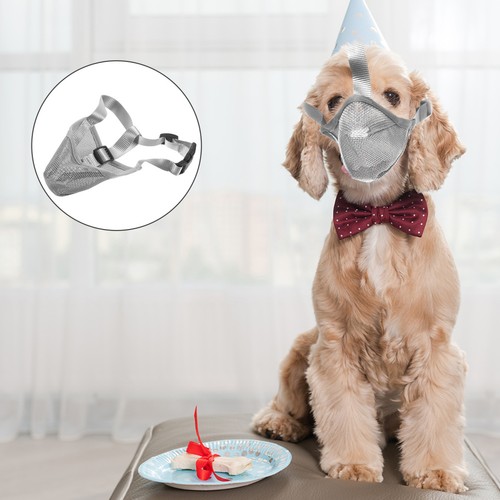 Muselière chien petite - chien,