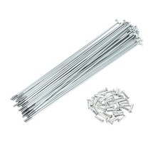 Rayons de vélo galvanisé