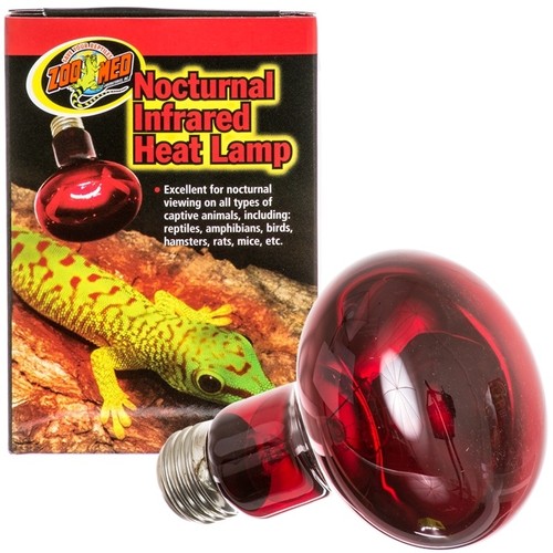 Lampe reptile infrared - reptile, w