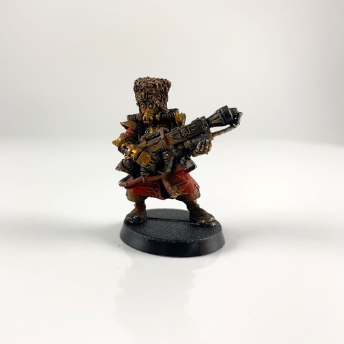 Garde vostroyen avec lance - garde,