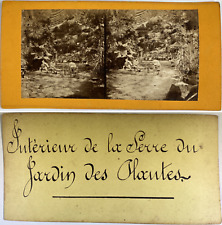 Maroc, Jardin des Alaouites, intérieur de la serre vintage stereo card, Tirage