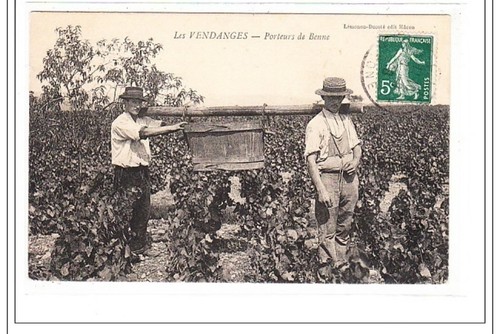 Lemonon ducote vendanges - lemonon-ducote, :