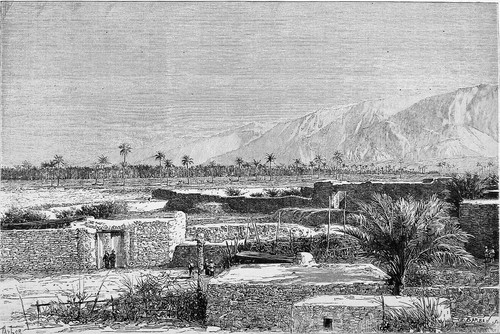 Iran les palmiers l - les, de