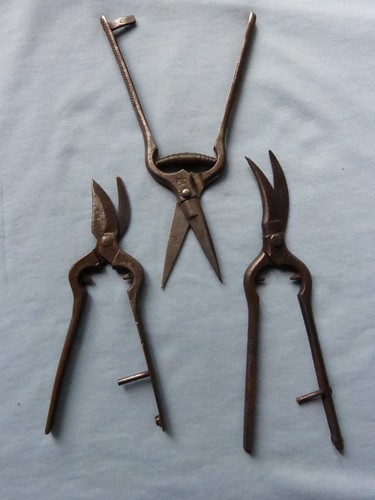 Trois anciens sécateurs - , fer