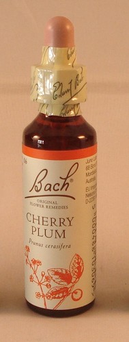 Remèdes fleurs bach cherry - bach,