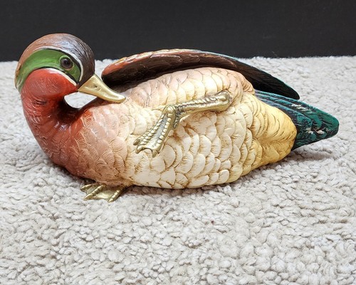 Elli malevolti mallard duck - mallard,