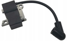 Bobine d'allumage module