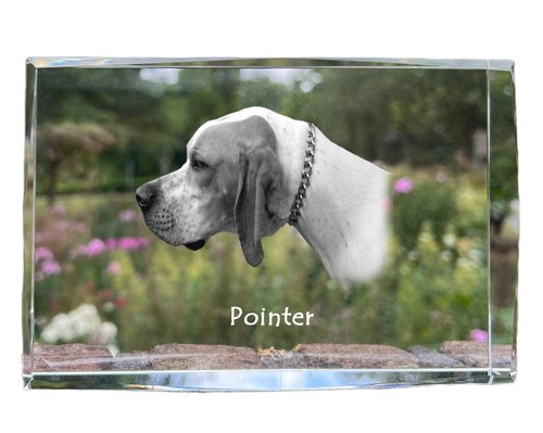 English pointer pendentif - pointer,