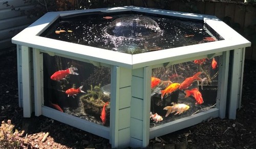 Clear view garden aquarium - garden,