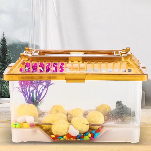 Petit réservoir tortue - de,