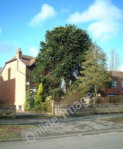 Photo 12x8 baldwins lane - photo,