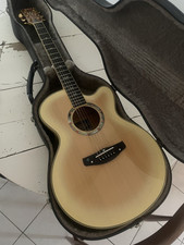 Guitare électrique acoustique