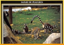 07-PEAUGRES-SAFARI