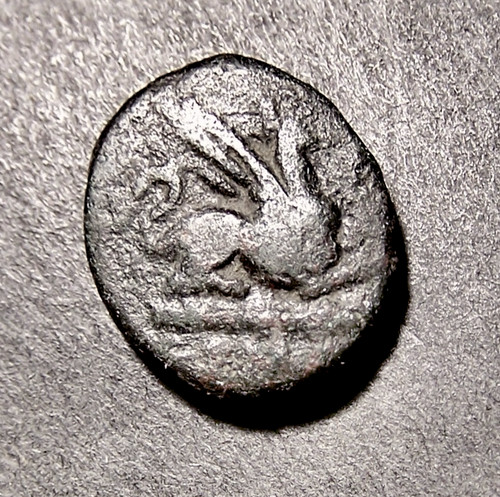 Greek coin mythical - mythical, griffin