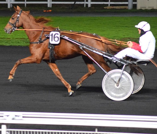 Methode turf perfectrot - turf, :