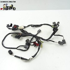 Faisceau électrique (petit)