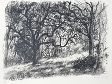 Sous Bois LITHOGRAPHIE ORIGINALE Signée MICHEL CIRY (1919-2018) 16/35 1943