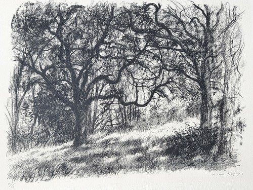 Sous bois lithographie - sous,