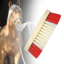 Brosse de nettoyage pour chevaux, couleur aléatoire, pour l'équitation