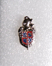 INSIGNE MILITAIRE PIN'S