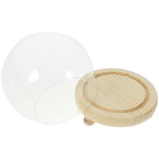 Vitrine Transparente avec Base en Bois Fleur Éternelle Cloche en en Verre