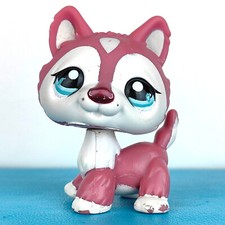 Authentic Littlest Pet Shop #1793 Husky Dog / Original Hasbro LPS