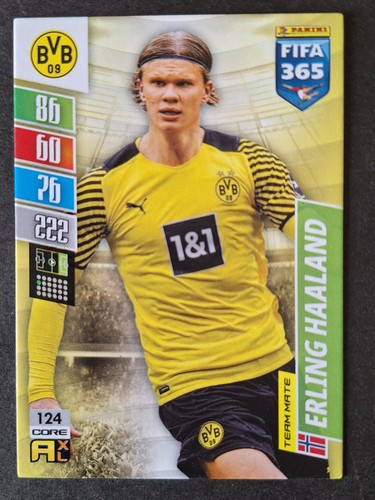Erling haaland 124 dortmund - haaland, #124