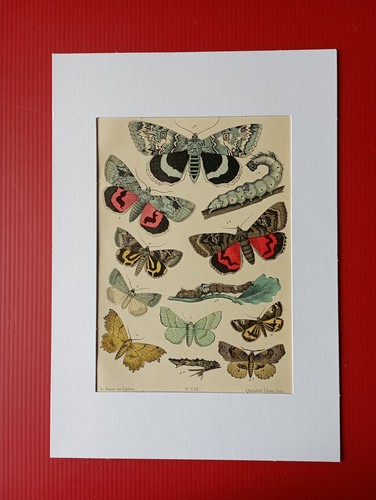 Chromolithographie originale - chromolithographie,