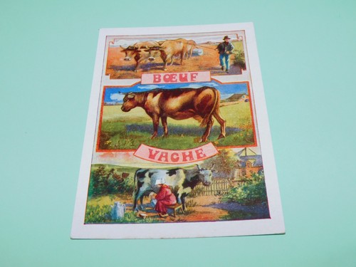 Image ancienne scolaire bon - ancienne,