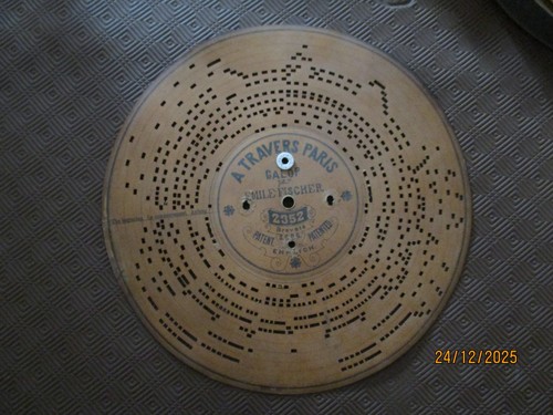 Disque carton ehrlich - 33, cm