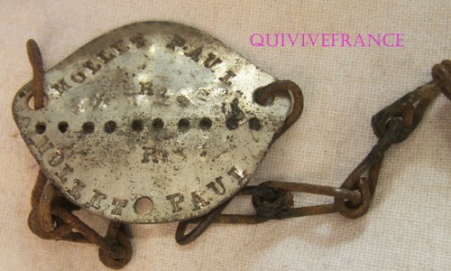 Pid298 plaque identite dog - identite,
