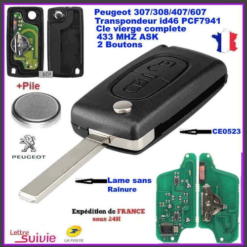 Cle vierge ce0523 circuit id46 - cle,