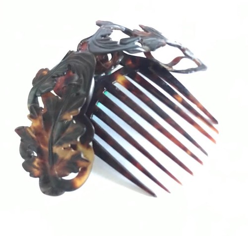 Peignes écaille tortue - de,
