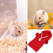  Cochon D'inde Cochons D'Inde