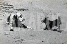 Photo de presse vintage