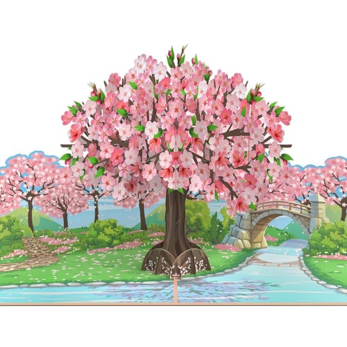Carte fleur pop - carte, pop-up