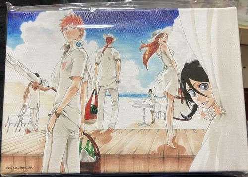 Bleach full color - full, board