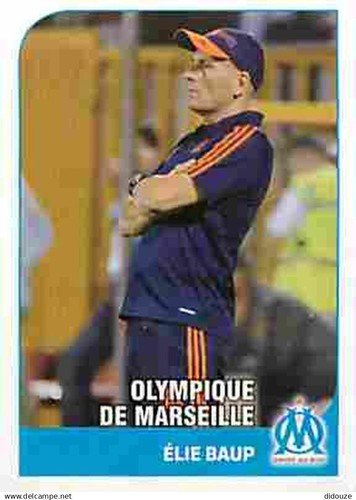 Stickers panini france foot - panini,