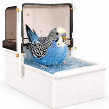 Baignoire pour petits oiseaux