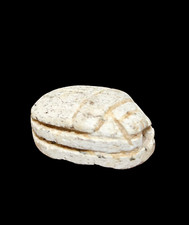 Scarabée Stylisé, égypte